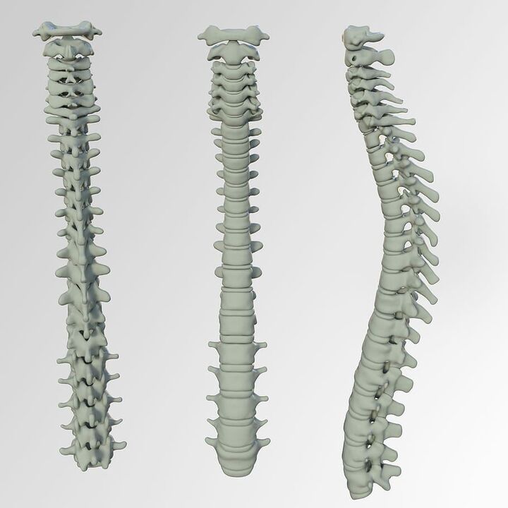 Speed ​​column diagram